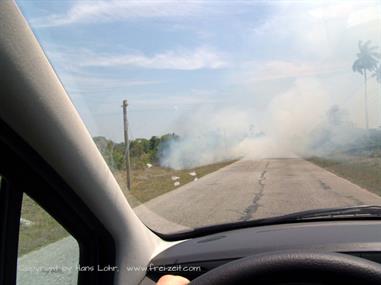 2004 Cuba, Cayo Levisa - Cayo Ensenachos, DSC00800 B_B720